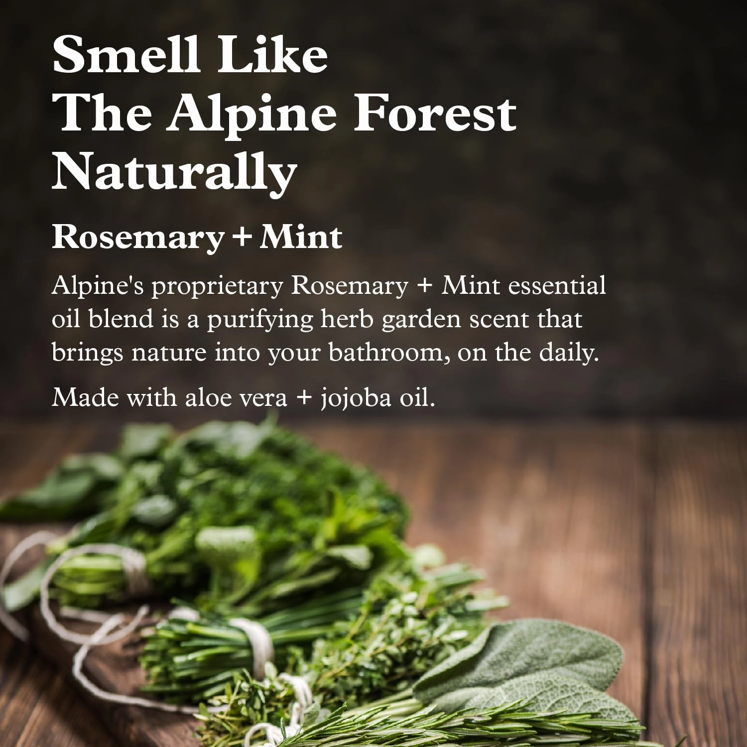 Alpine Provisions Natural Rosemary   Mint Body Wash, 16.9 fl oz in plastic-free aluminum bottle