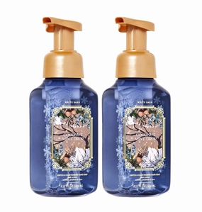 Bath and Body Works Gentle Foaming Hand Soap 8.75 Ounce 2-Pack (Coconut Mint)