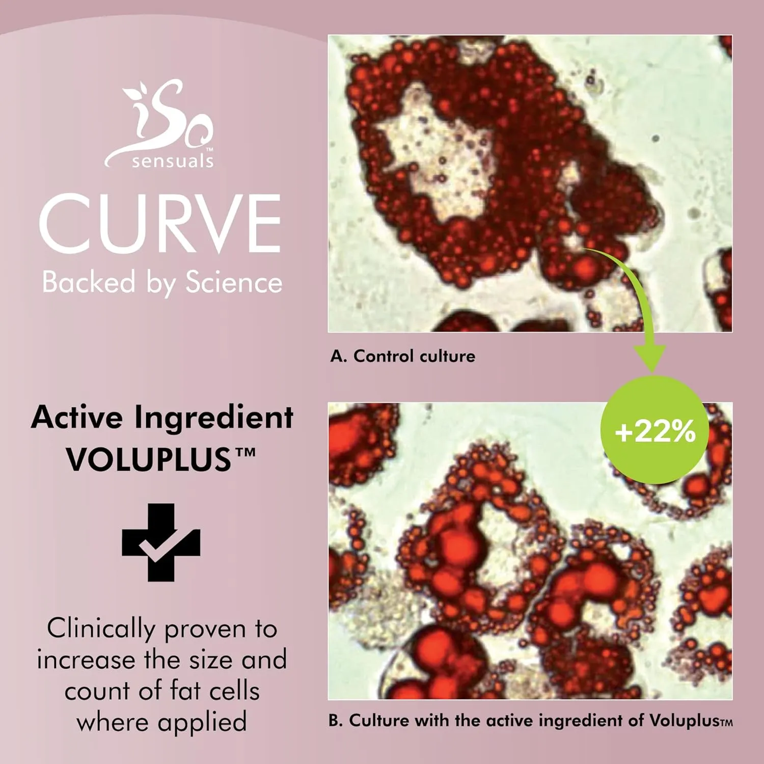 CURVE Butt Enhancement Cream - for Women and Men, Natural Growth and Plumping Enhancer, Faster, Thicker, Bigger Results, 2 Month Supply