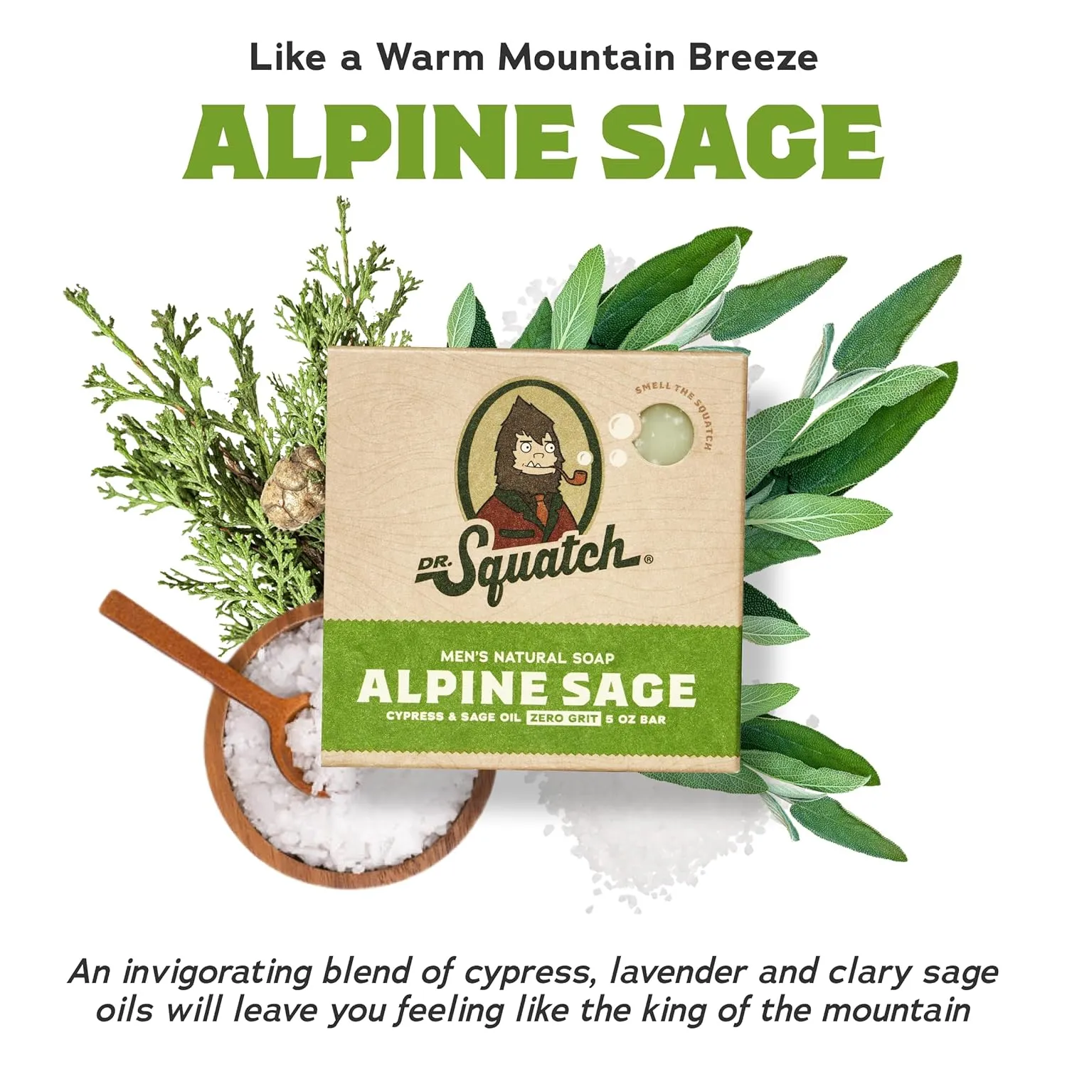 Dr. Squatch Natural Bar Soap for Men - Cold Process Soap with No Harsh Chemicals - Alpine Sage (5 oz, 5-Pack)