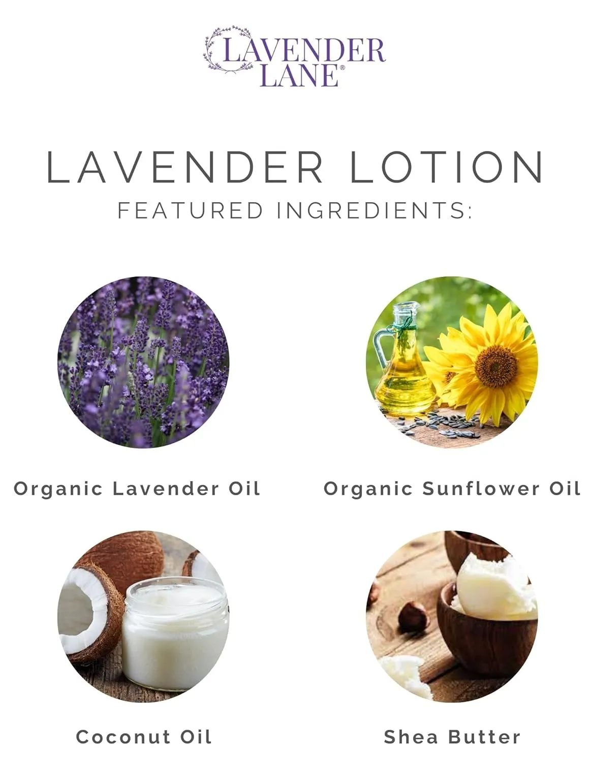 LAVENDER LANE Lavender Goat's Milk Hand & Body Lotion, 9 oz - USA Lavender Farm, Free Sachet Included, Organic Shea Butter, Organic Sunflower Oil.