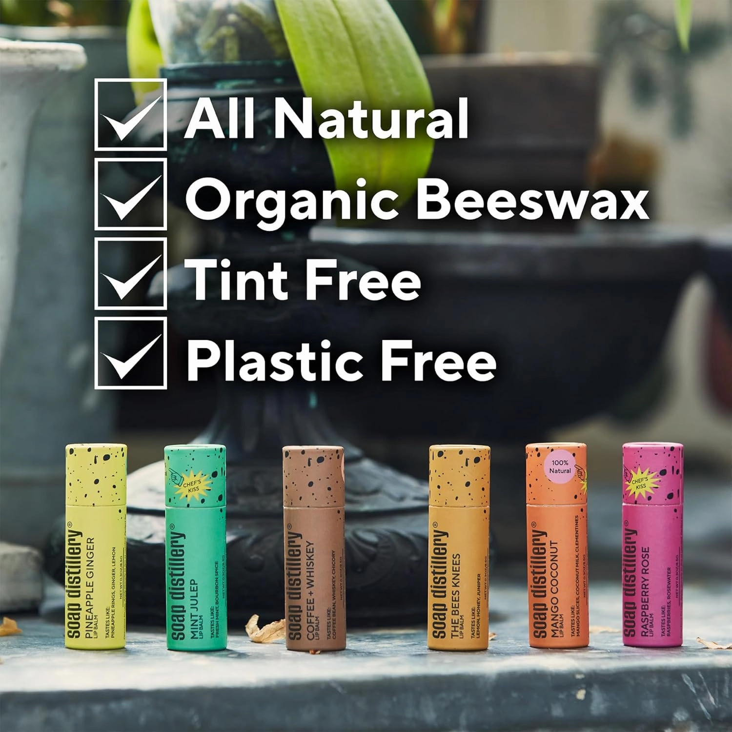 Lip Balm Two Pack - Organic Beeswax - Plastic Free Tube (Mango Coconut)