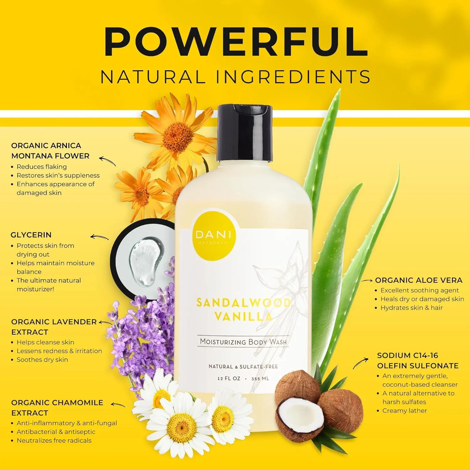 Naturals Body Wash - Warm Sandalwood Vanilla Scent with Organic Aloe Vera & Natural Glycerin - Sulfate & Paraben-Free Shower Gel - For Men & Women - 12 oz - Vegan & Cruelty-Free