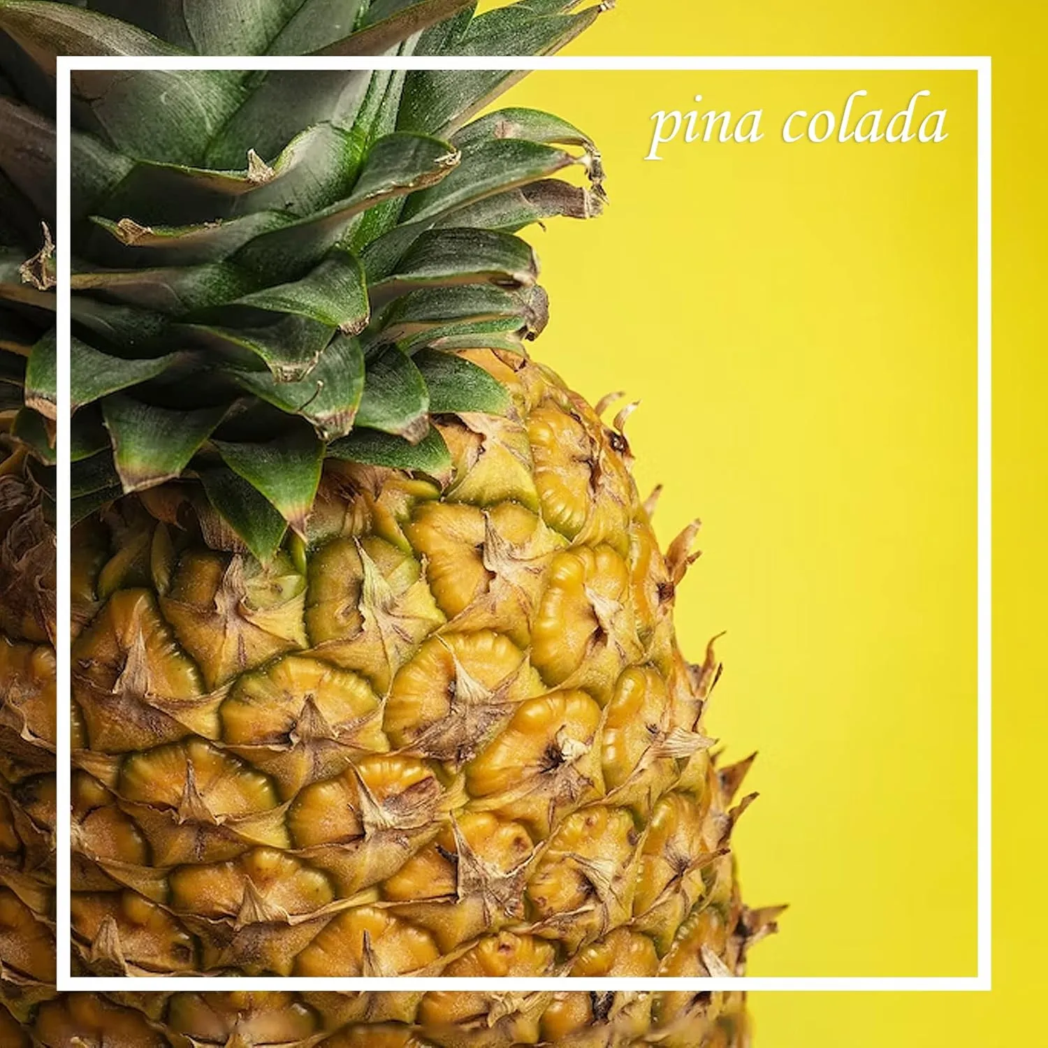 Primal Elements Sunkissed Body Butter with Coconut Oil, Shimmering Moisturizer for Ultimate Hydration and Nourishment, Suitable for All Skin Types, Instant Glow – Pina Colada, 3 pack (4 oz each)