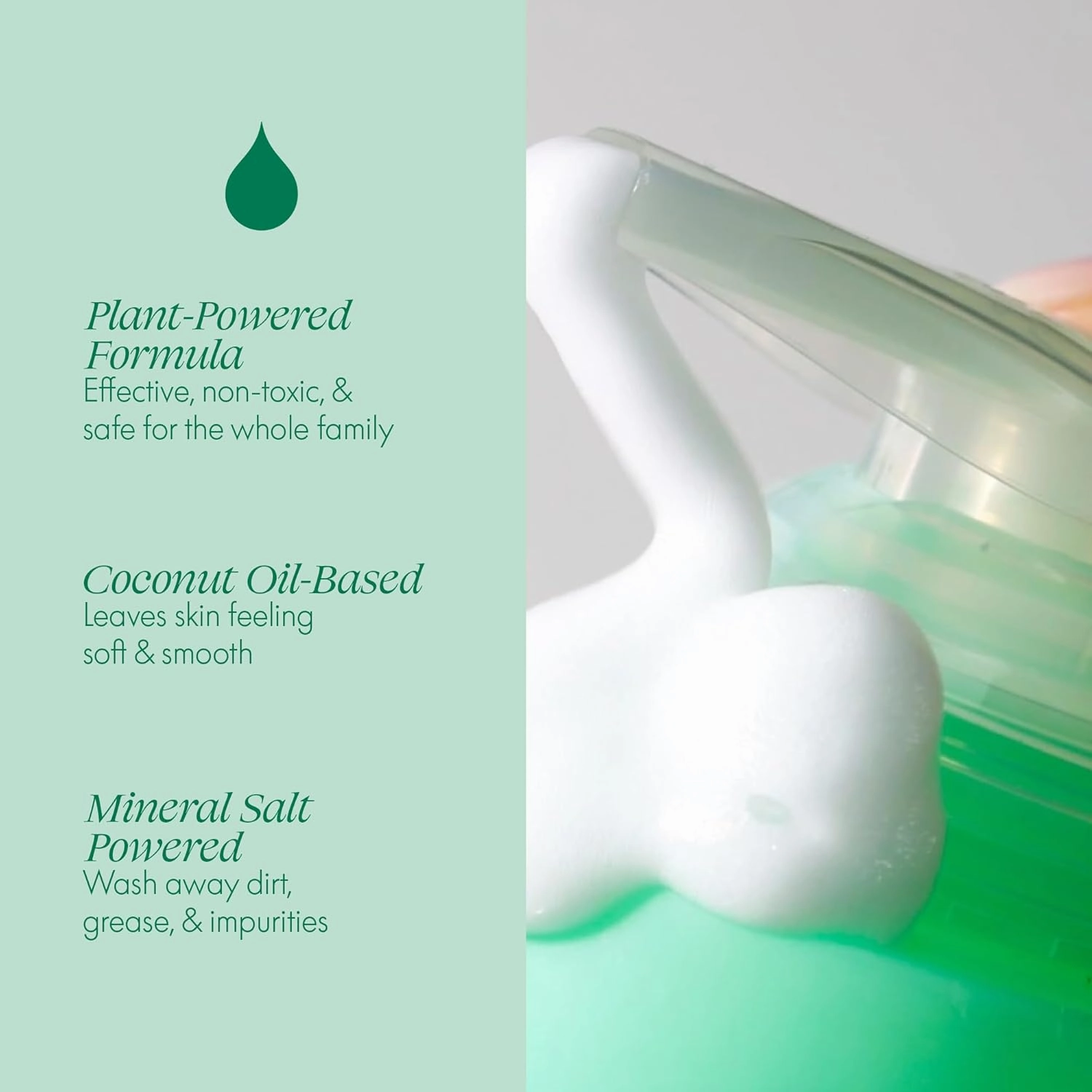 Safely Foaming Hand Soap – Rise 6-Pack, Moisturizing Liquid Hand Soap With Coconut Conditioning, Leaves Skin Soft And Smooth, Removes Dirt, Grease, and Impurities, 10 Fl Oz Each