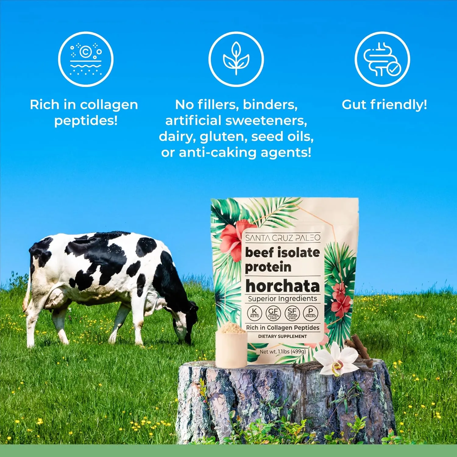 Santa Cruz Paleo Beef Isolate Protein Powder, Horchata, Rich in Collagen Peptides, Gluten Free, Keto, Sugar Free, Paleo, 20g Grass Fed Protein Per Serving, Low Calorie Clean Protein Powder, 1.11 Lbs