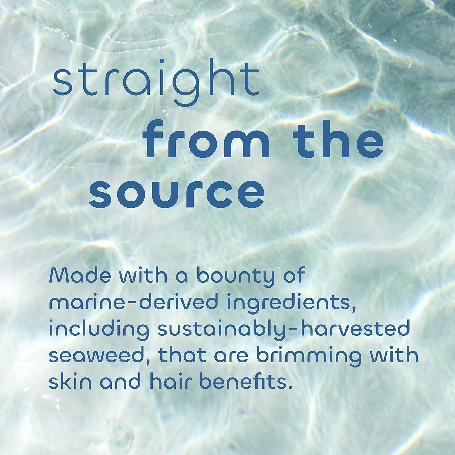 Seaweed Bath Co. Ultra-Hydrating Hand Rescue Hand Cream, Coconut Water Scent, 2 Ounce, Sustainably Harvested Seaweed, Sea Kelp, Arnica