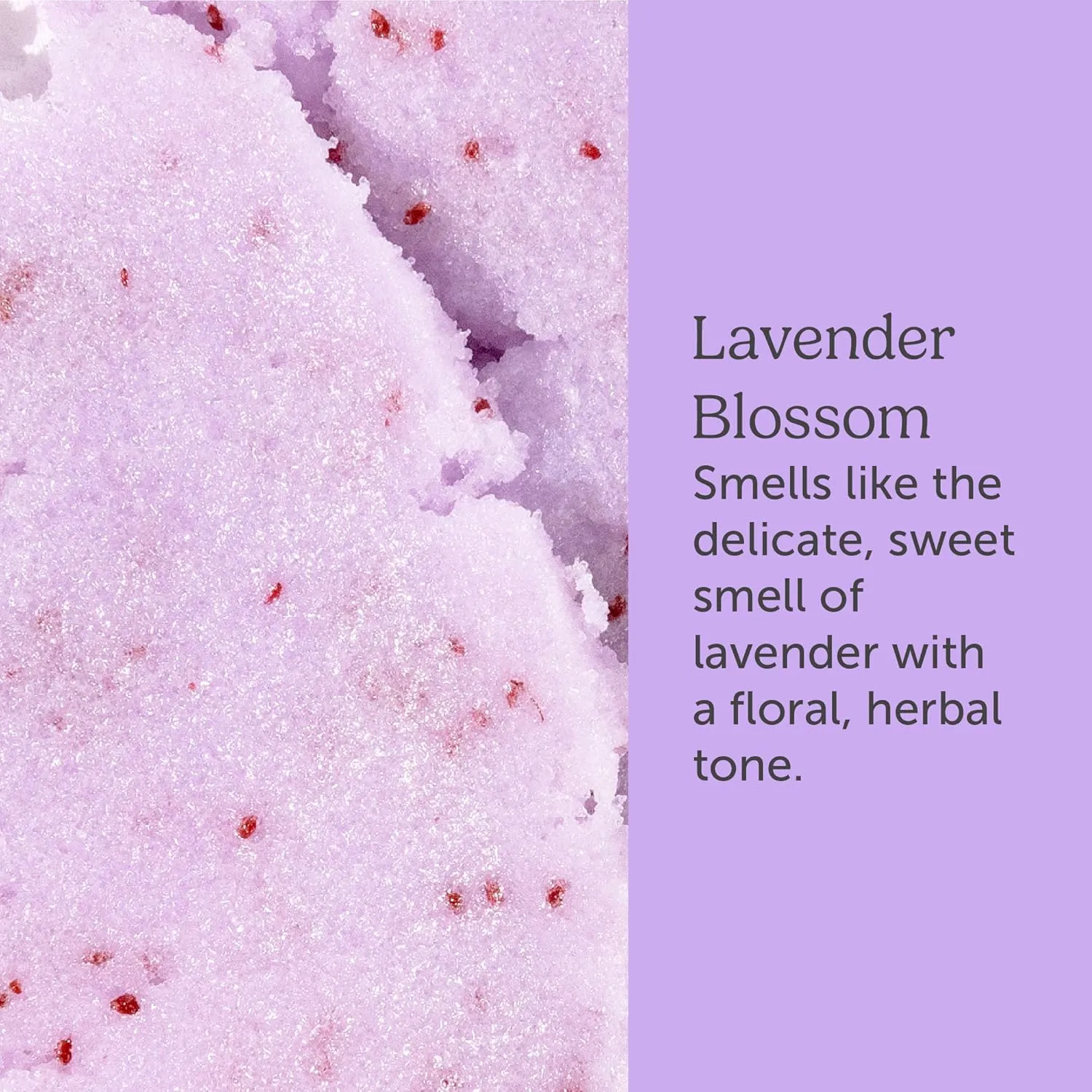 Sugar Body Scrub, Exfoliating Body Scrub with Moisturizing Shea Butter and Coconut Oil, Paraben Free, SLS Free, Cruelty Free Skin Care for Women and Girls, Handmade Fresh, 8 Oz (Lavender)